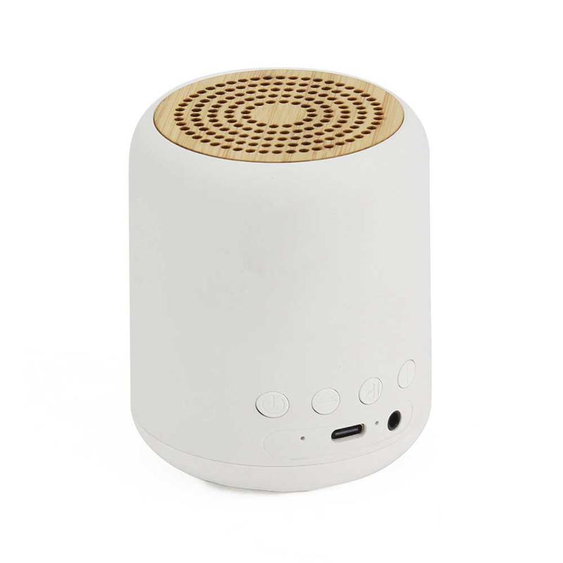 EcoSound Mini Speaker